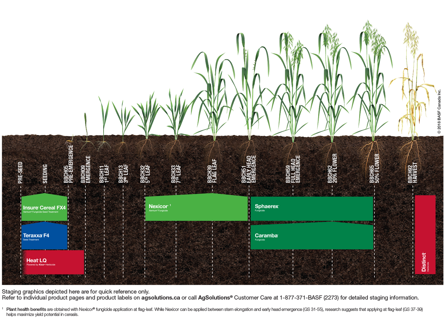 BASF Crops Cereals